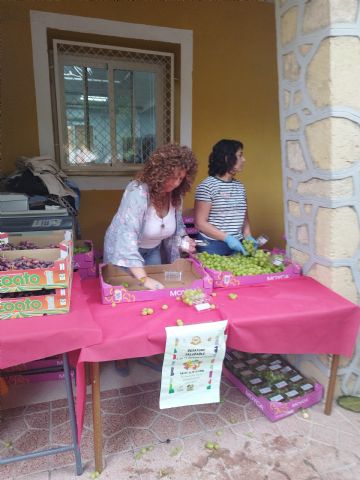 Da Mundial de la Alimentacin: fomentando hbitos saludables en el IES Prado Mayor - 15