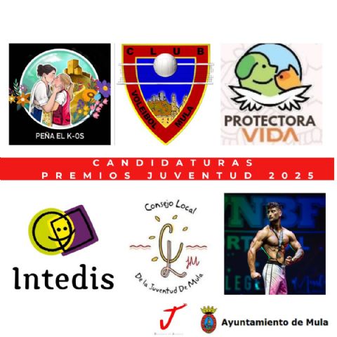 Juventud propone a varios muleños y entidades locales a los Premios Juventud 2025 - 1, Foto 1