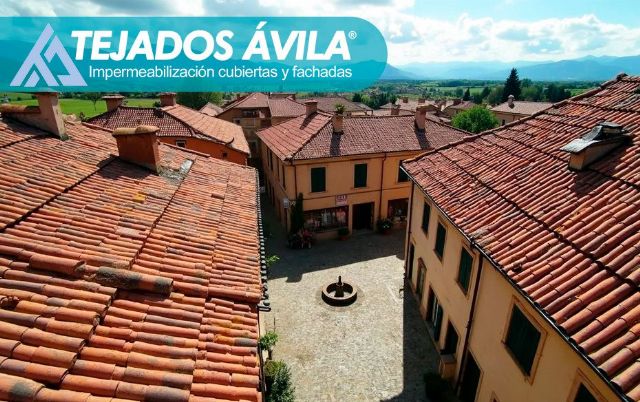 Tejados Ávila refuerza su presencia en la provincia con soluciones integrales para cubiertas - 1, Foto 1