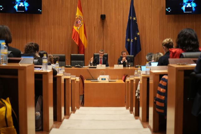 Bolaños subraya el impacto positivo que tendrá la Ley Orgánica para la protección de menores en entornos digitales - 1, Foto 1