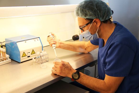 Una fórmula española para rejuvenecer los ovarios revoluciona la fertilidad global - 1, Foto 1