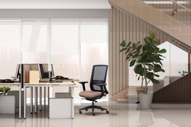 Mobiliario ergonómico y salud laboral; la clave para equipos más productivos y motivados - 1, Foto 1