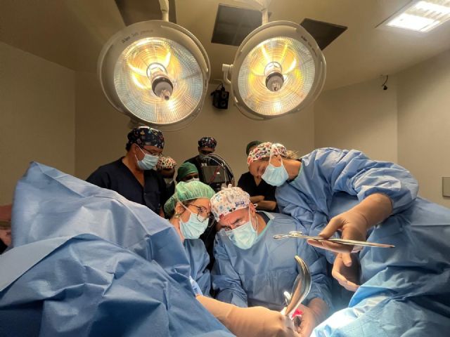 Los miomas uterinos pueden tratarse con técnicas mínimamente invasivas que reducen el dolor y aceleran la recuperación - 1, Foto 1