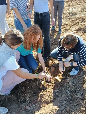 Tres años después del incendio que arrasó más de 20.000 hectáreas, un grupo de jóvenes ayuda a recuperar los montes de Torás - 1, Foto 1