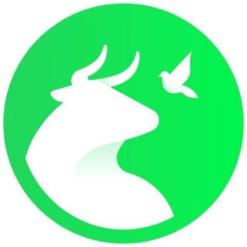 PACMA solicita reuniones con la FIFA y la RFEF para abordar las matanzas de perros en Marruecos de cara al Mundial 2030 - 1, Foto 1