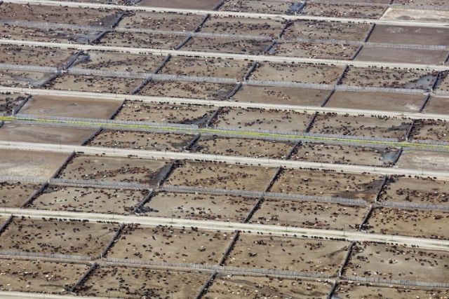 Estudio internacional revela el impacto de la ganadería industrial en las metas climáticas - 1, Foto 1