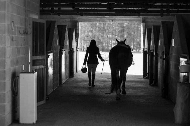 GESTHIP revoluciona la gestión de centros ecuestres en España - 1, Foto 1