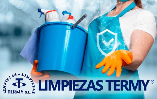 Limpieza profunda y resultados visibles: la propuesta de Limpiezas TERMY - 1, Foto 1