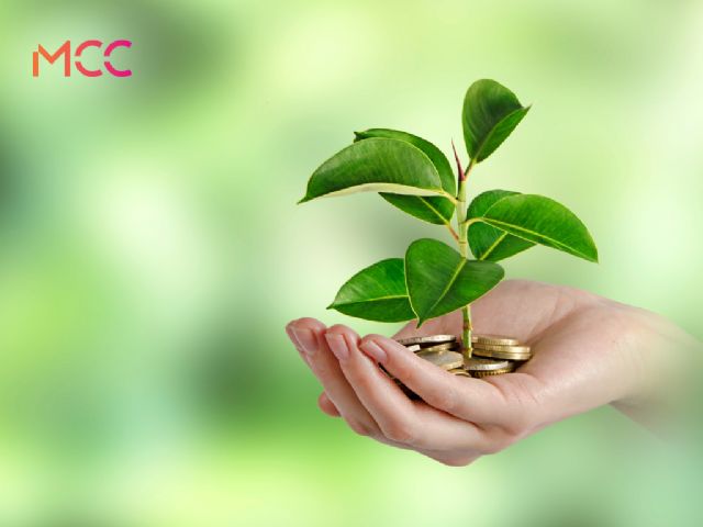 MCC Banking apuesta por la sostenibilidad con su nueva política de banca verde - 1, Foto 1