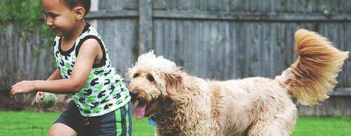 ¿Cómo influye en los niños crecer con una mascota? - Desarrollo emocional y bienestar integral - 1, Foto 1