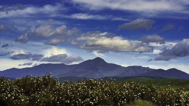 ADEL impulsó la economía rural con ayudas a asociaciones y ayuntamientos - 1, Foto 1