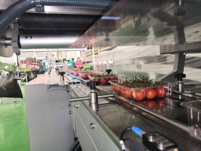 BELCA impulsa la optimización del envasado final de línea con soluciones que reducen costes operativos - 1, Foto 1