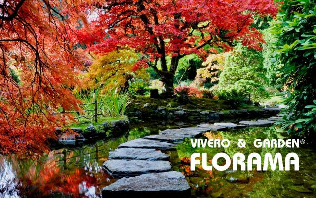 El otoño también florece: VIVEROS FLORAMA reinventa los jardines fuera de temporada - 1, Foto 1