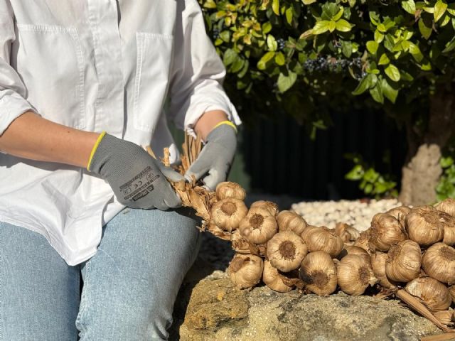 La Abuela Carmen reinventa el trenzado ancestral con su ajo negro - 1, Foto 1