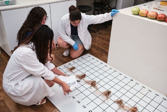 NEVAL investiga los nematodos como indicadores del equilibrio del suelo en línea con ‘Soil Health’ europea - 1, Foto 1