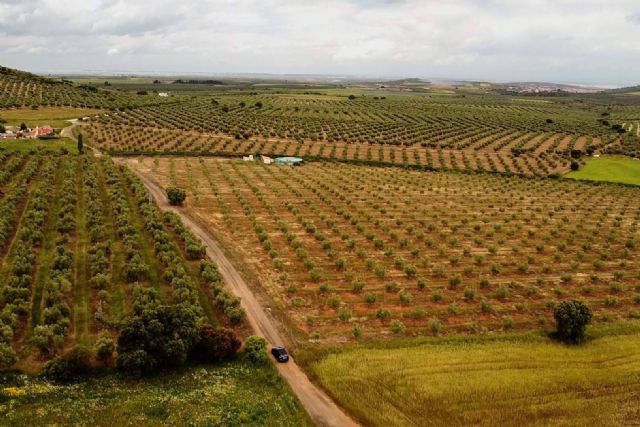 Brand journalism y comunicación audiovisual para marcas que buscan destacar con autenticidad - 1, Foto 1