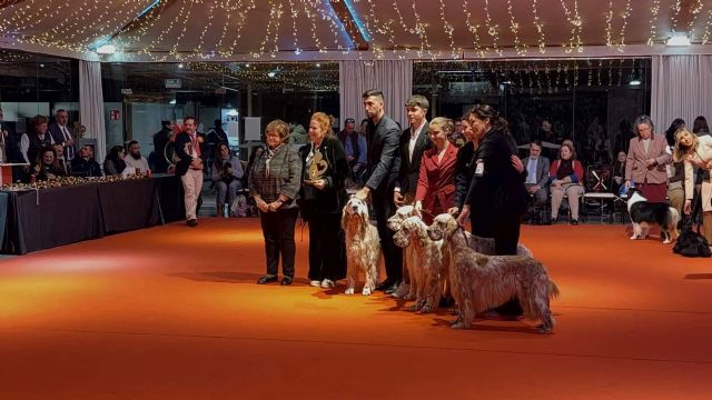 La Primera Copa de Criadores 2025 celebra una edición histórica y premia al pastor australiano Once in a Life Time de La Noval - 1, Foto 1