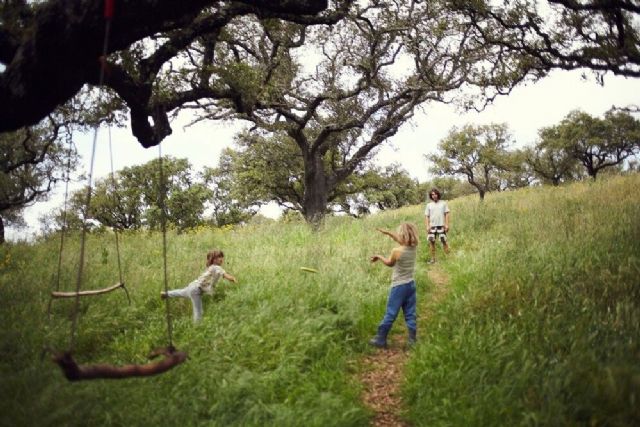 Traditional Dream Factory supera los 1,2 millones de euros y lidera la economía regenerativa en Europa - 1, Foto 1