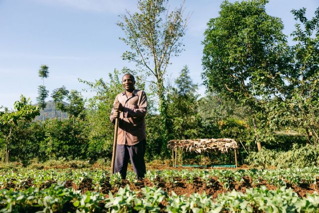 Smoking Paper contribuye a la plantación de 245.922 árboles - 1, Foto 1