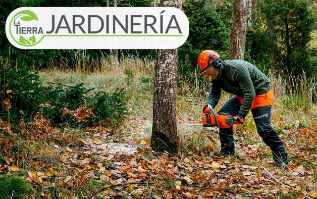 La Tierra Jardinería fortalece su presencia en la tala de árboles con servicios seguros, técnicos y adaptados al entorno - 1, Foto 1
