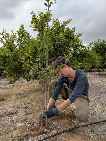 Más del 80% de la juventud rural quiere implicarse en sus territorios - 1, Foto 1