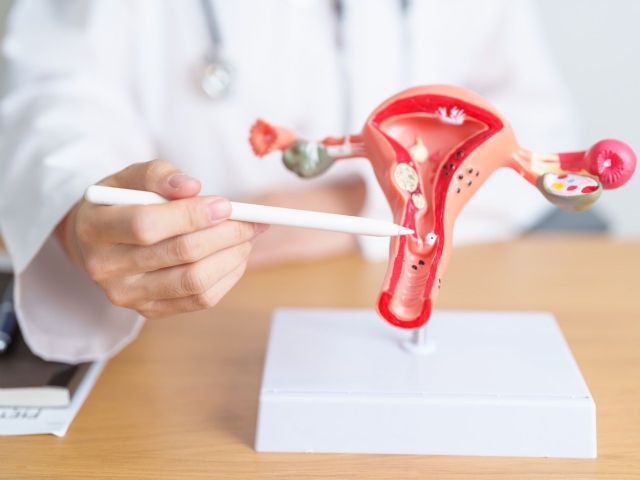 Dr. Juan Céspedes, ginecólogo de Policlínica Gipuzkoa: La endometriosis deteriora la calidad de vida, es difícil de diagnosticar y muchas mujeres la ocultan por vergüenza o por creer que es normal - 1, Foto 1