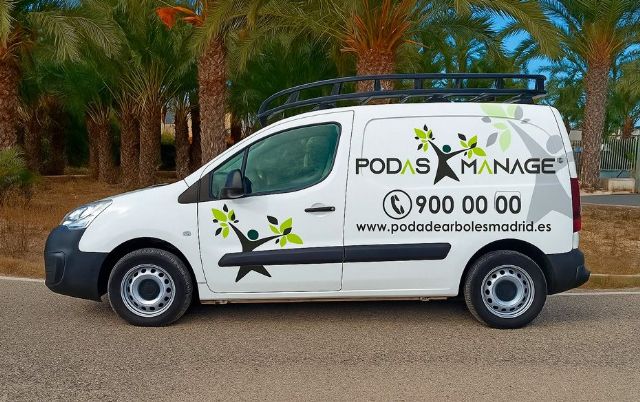 El arte y la ciencia de la poda de árboles: la clave para un entorno saludable y seguro, por PODAS MANAGE - 1, Foto 1