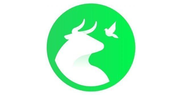 PACMA solicita la suspensi�n cautelar de la 'Gran Cohetada' de Oj�s por sus riesgos para personas, animales y medio ambiente