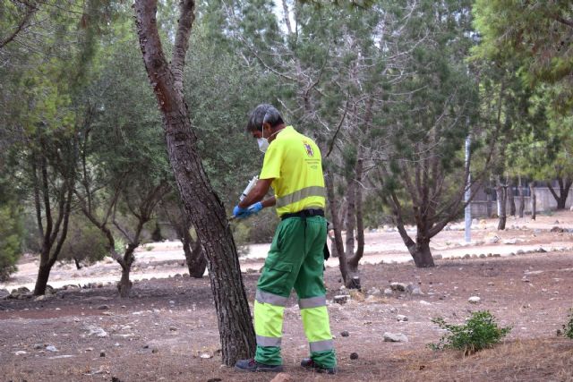 El Ayuntamiento de Cartagena inicia la nueva campa�a contra la procesionaria que proteger� a 6.000 pinos