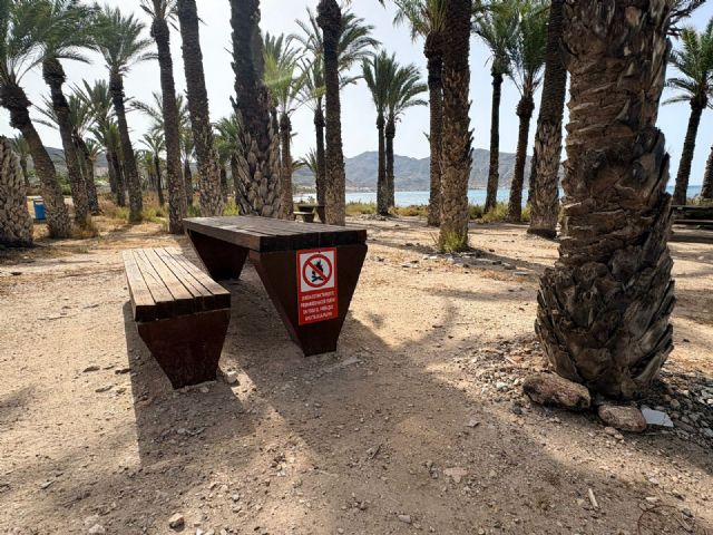 El proyecto de reparcelaci�n del pol�gono I de San Gin�s incorpora la protecci�n del palmeral y la pinada en su desarrollo