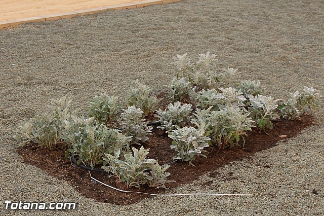 Se construye un nuevo parque recreativo con jardn en el barrio de Triptolemos, donde no exista ninguna infraestructura de esta naturaleza - 12