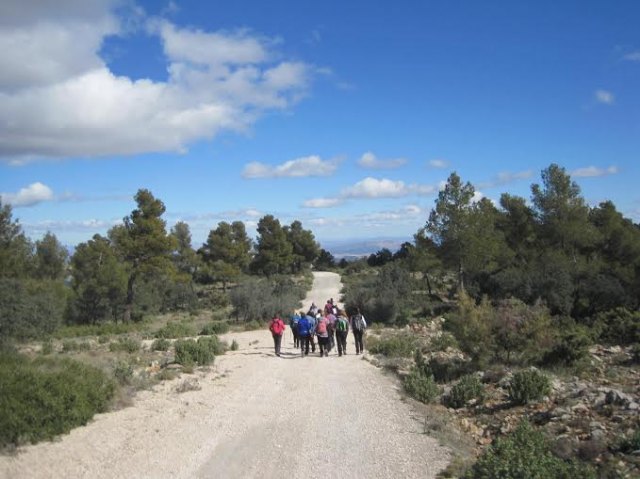 Un total de 28 senderistas participan en una nueva salida a la Sierra de Burete (Cehegn) - 5