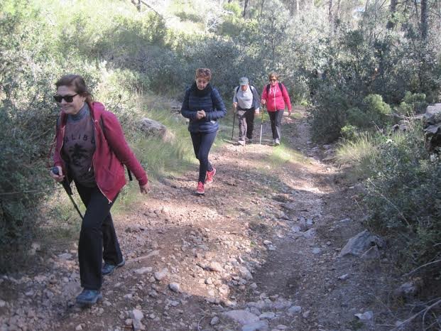 Un total de 28 senderistas participan en una nueva salida a la Sierra de Burete (Cehegn) - 8