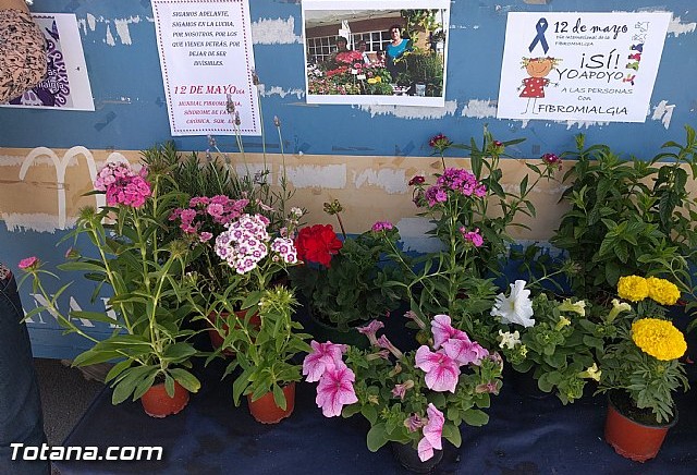 Totana conmemora el Da Internacional de la Fibromialgia y la Fatiga Crnica - 2
