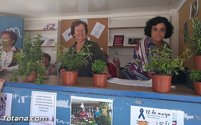 Totana conmemora el Da Internacional de la Fibromialgia y la Fatiga Crnica - 3