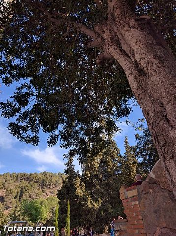 La Delegacin de Lourdes de Totana organiz una peregrinacin al Santuario de la Fuensanta, en Murcia - 16