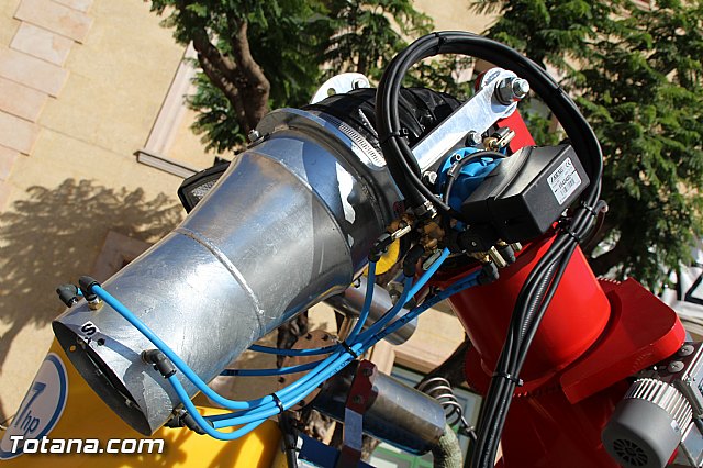 La Concejala de Sanidad desarrolla actuaciones de lucha contra el mosquito tigre en Totana, sin que se haya localizado por el momento ningn foco - 7