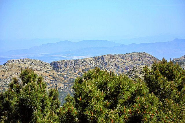 Una modlica restauracin sita Sierra Espuña como ejemplo de ecoturismo - 15