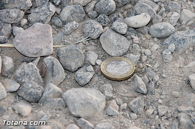 Denuncian el estado calamitoso de algunos tramos de los caminos del Raiguero Bajo - 7