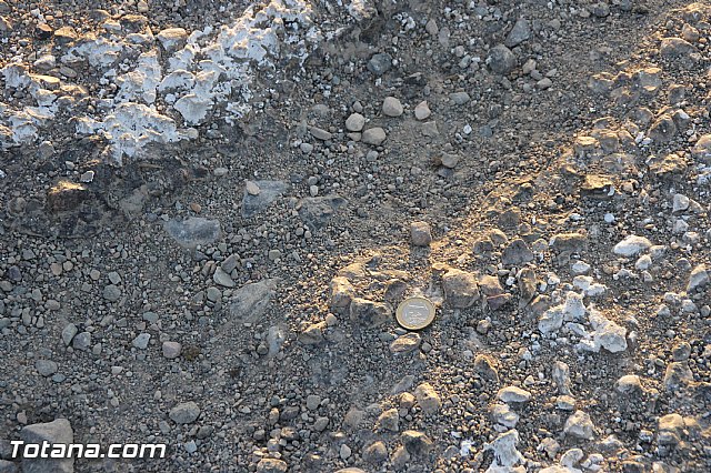 Denuncian el estado calamitoso de algunos tramos de los caminos del Raiguero Bajo - 20