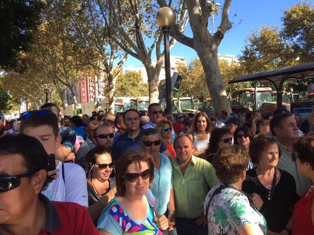 El alcalde de Totana con los agricultores murcianos ante la Asamblea Regional en Cartagena - 11