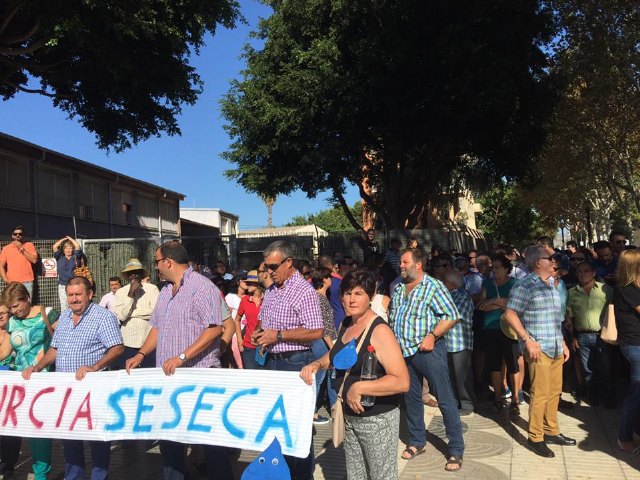 El alcalde de Totana con los agricultores murcianos ante la Asamblea Regional en Cartagena - 13