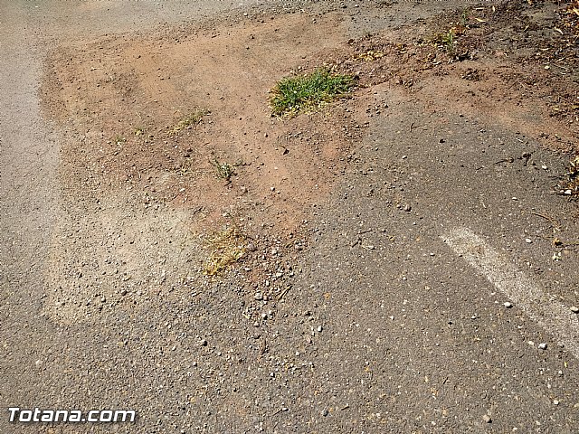 Comienza el plan de choque para parchear los caminos rurales con ms necesidades del municipio - 11