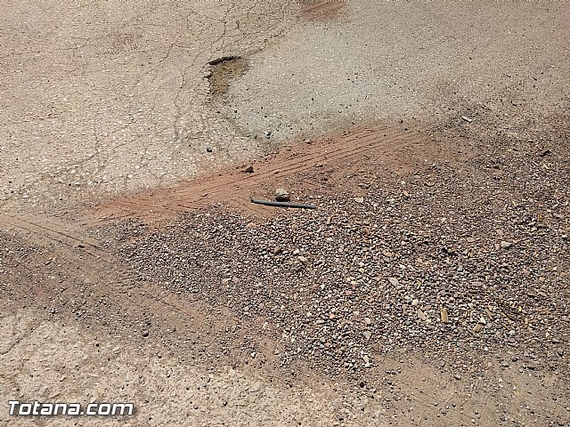 Comienza el plan de choque para parchear los caminos rurales con ms necesidades del municipio - 13