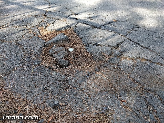 Comienza el plan de choque para parchear los caminos rurales con ms necesidades del municipio - 14