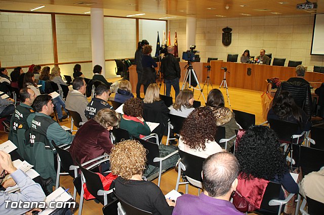 Profesionales implicados en la lucha contra la violencia de gnero se renen en Totana - 13