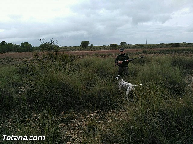 La XXXI edicin del Campeonato de Caza Menor con Perro tuvo lugar el pasado fin de semana - 2