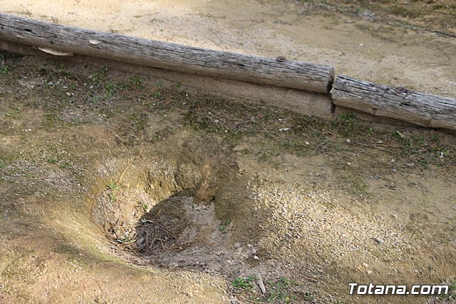 Invertirn ms de 6000 euros en la rehabilitacin del jardn Diego Manzano, en el barrio de la Era Alta - 14