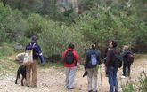 Organizan para el domingo una ruta guiada por el bosque de la umbría de Sierra Espuña