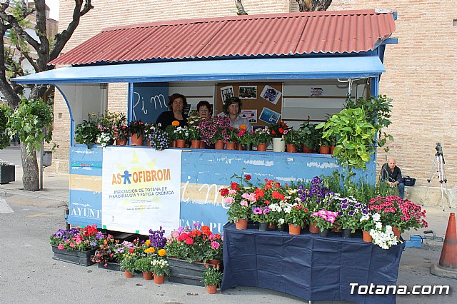 Totana conmemora el Da Internacional de la Fibromialgia y la Fatiga Crnica 2017 - 2